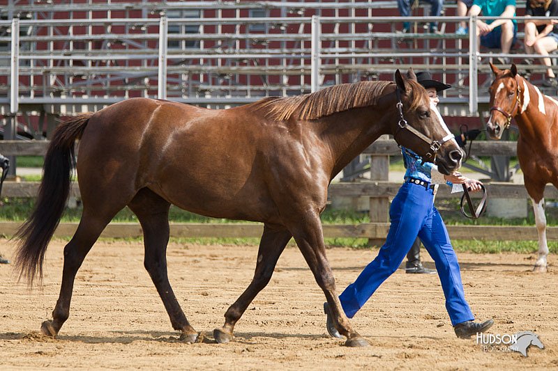 4H-Fun-Show-11_0036.jpg