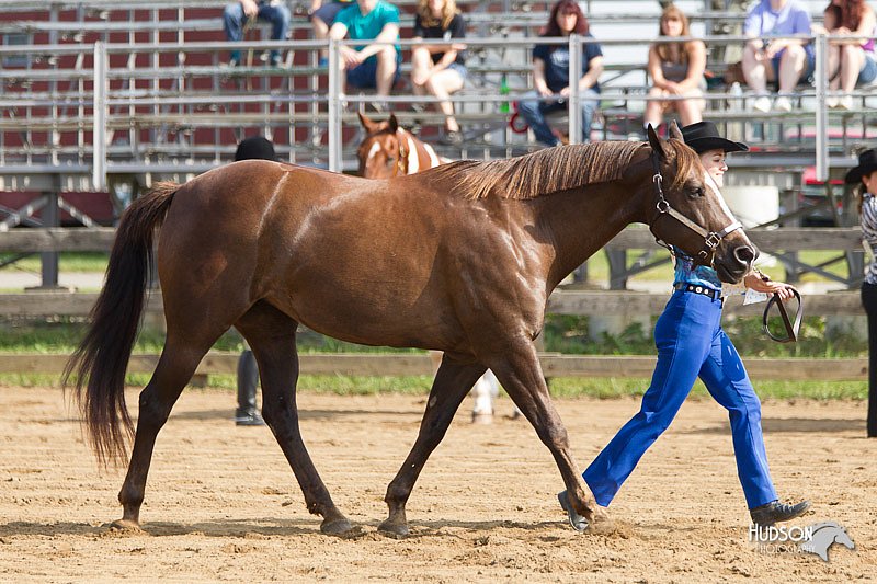 4H-Fun-Show-11_0037.jpg