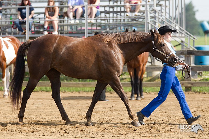 4H-Fun-Show-11_0038.jpg