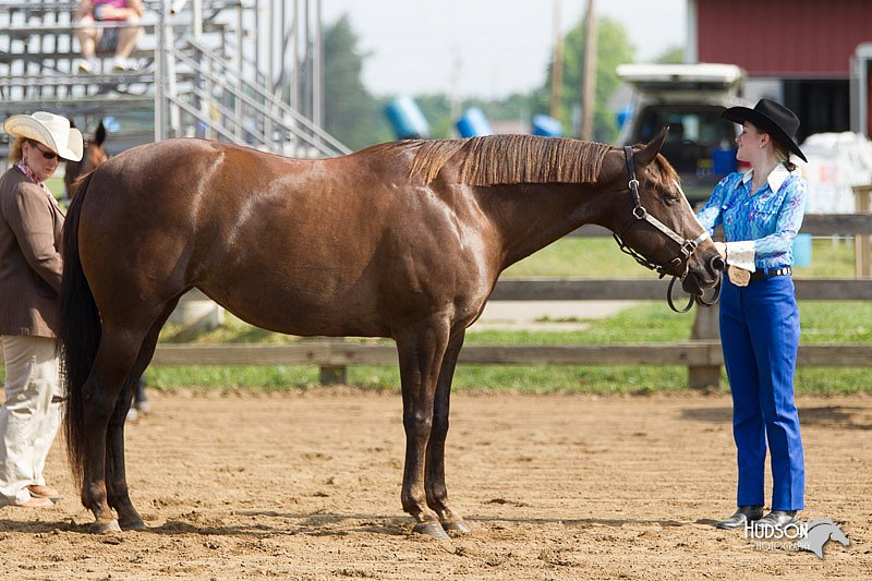 4H-Fun-Show-11_0039.jpg
