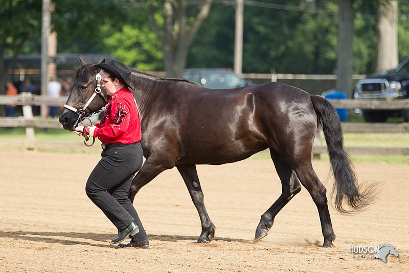 4H-Fun-Show-11_0041.jpg