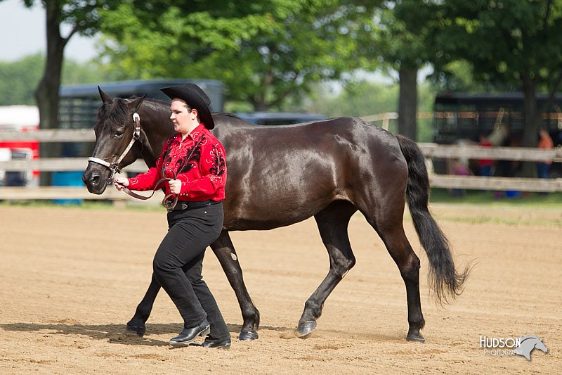 4H-Fun-Show-11_0042.jpg