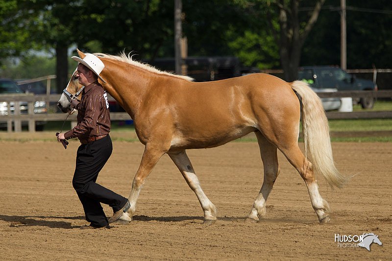 4H-Fun-Show-11_0047.jpg