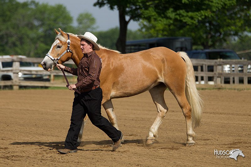4H-Fun-Show-11_0049.jpg