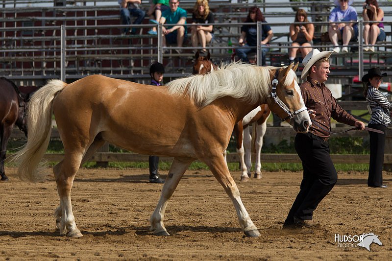 4H-Fun-Show-11_0051.jpg