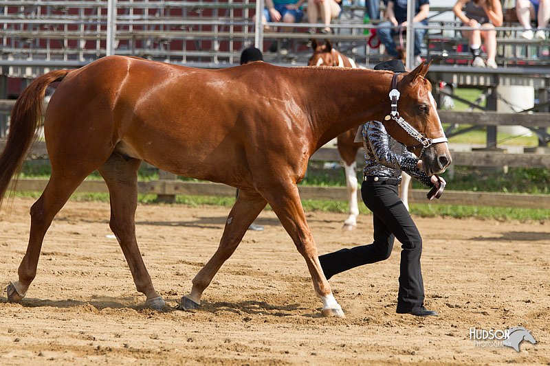 4H-Fun-Show-11_0055.jpg