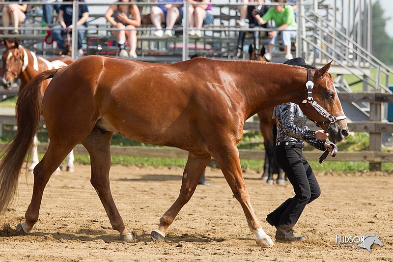 4H-Fun-Show-11_0056.jpg