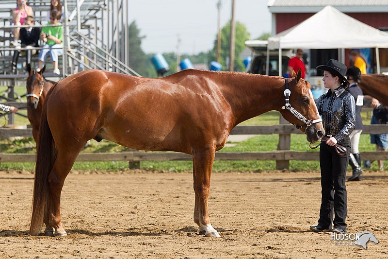 4H-Fun-Show-11_0058.jpg