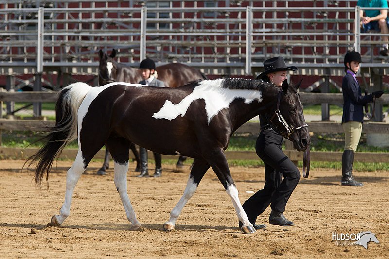 4H-Fun-Show-11_0062.jpg