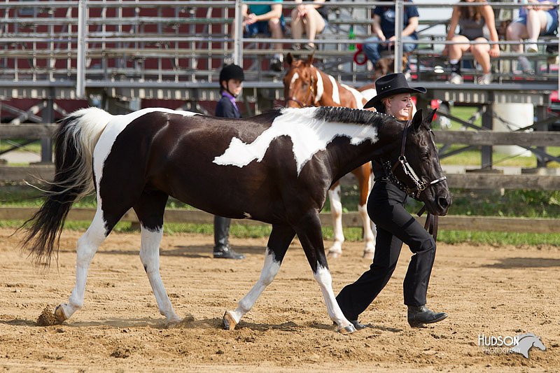 4H-Fun-Show-11_0063.jpg