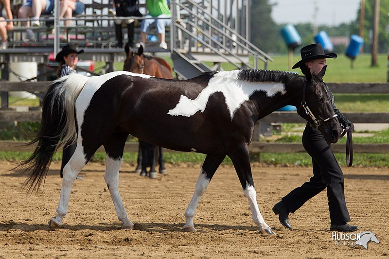 4H-Fun-Show-11_0064.jpg