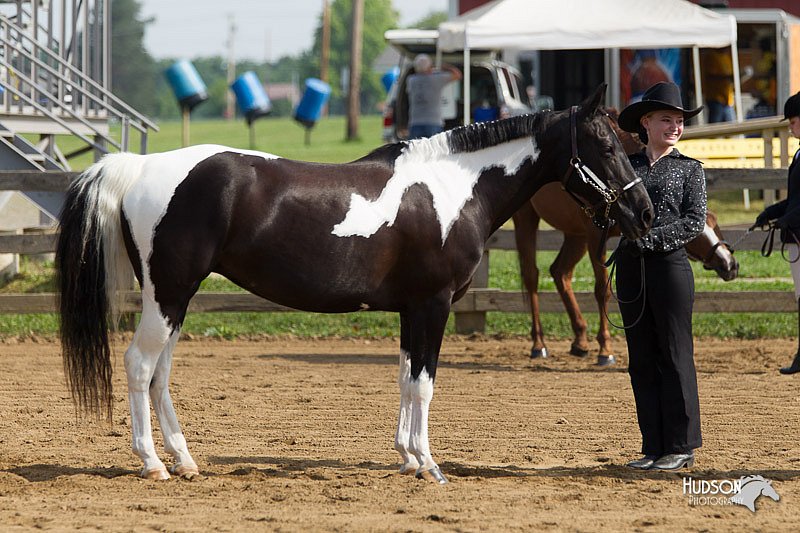 4H-Fun-Show-11_0065.jpg