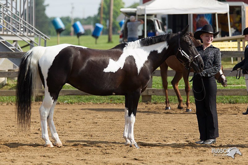 4H-Fun-Show-11_0066.jpg