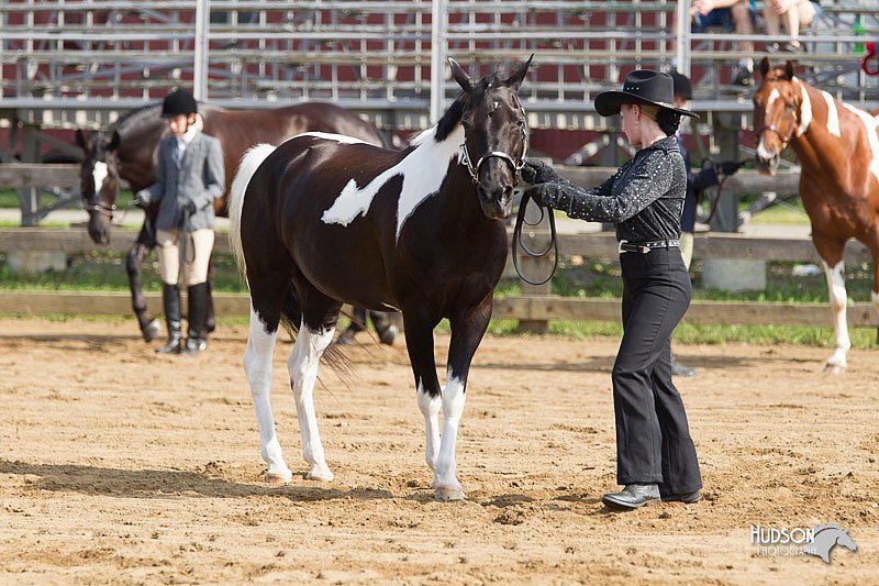 4H-Fun-Show-11_0067.jpg