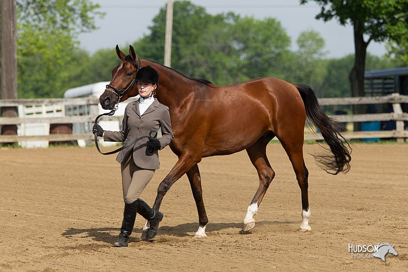 4H-Fun-Show-11_0070.jpg
