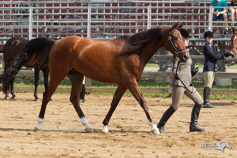 4H-Fun-Show-11_0071.jpg