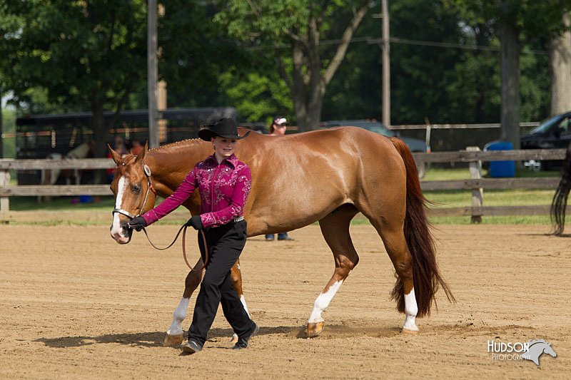 4H-Fun-Show-11_0074.jpg