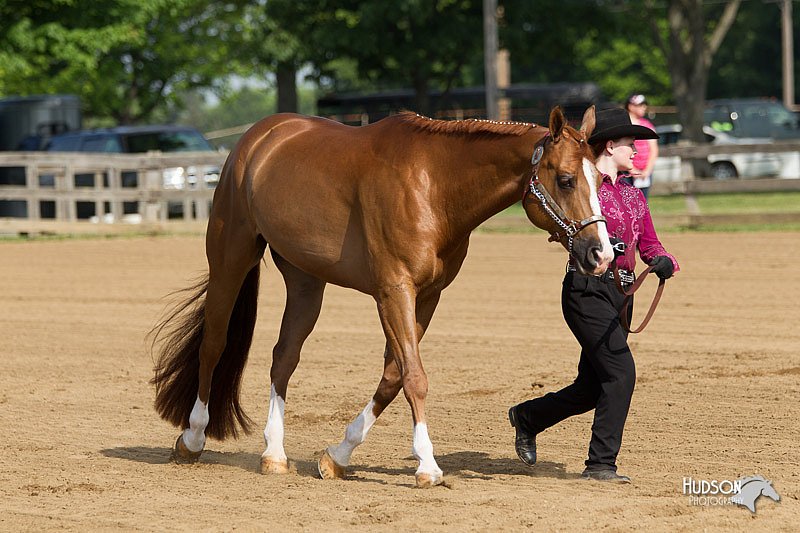 4H-Fun-Show-11_0075.jpg