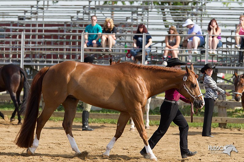 4H-Fun-Show-11_0077.jpg