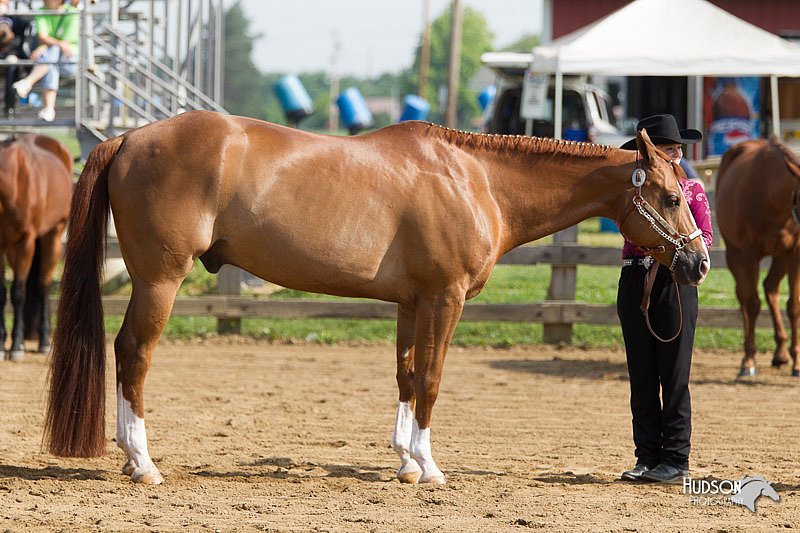 4H-Fun-Show-11_0078.jpg