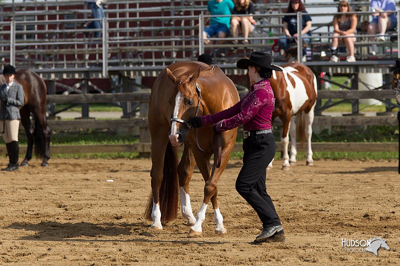 4H-Fun-Show-11_0079.jpg