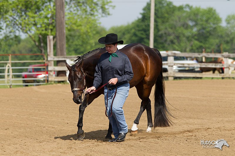 4H-Fun-Show-11_0081.jpg