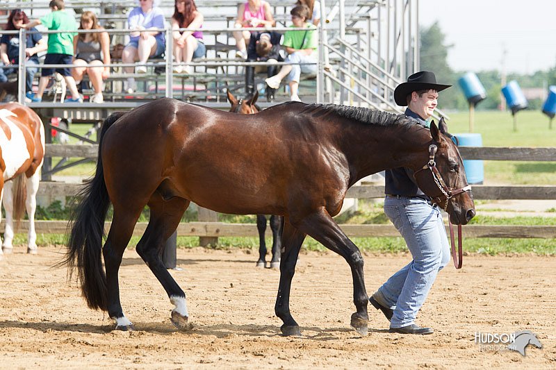 4H-Fun-Show-11_0082.jpg