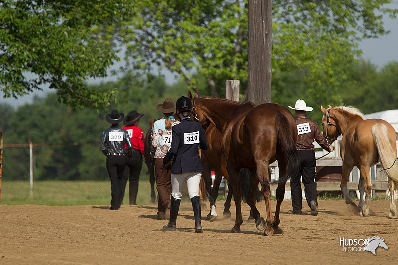 4H-Fun-Show-11_0084.jpg