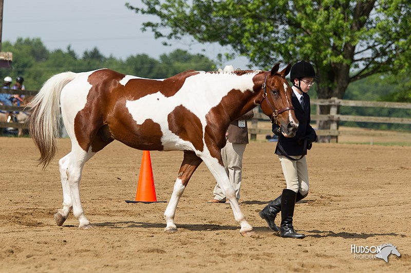 4H-Fun-Show-11_0085.jpg