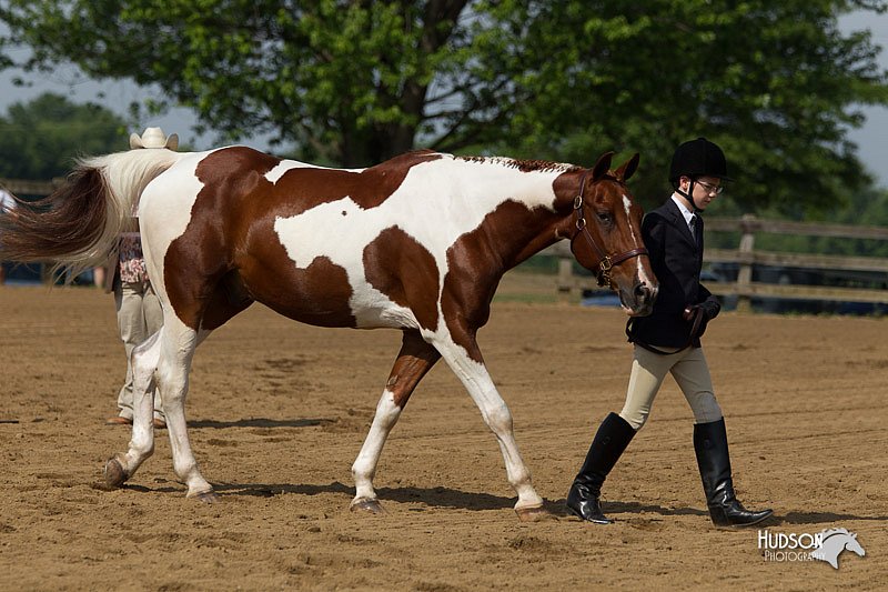 4H-Fun-Show-11_0086.jpg