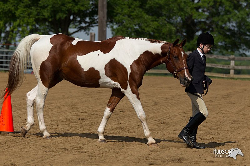 4H-Fun-Show-11_0088.jpg