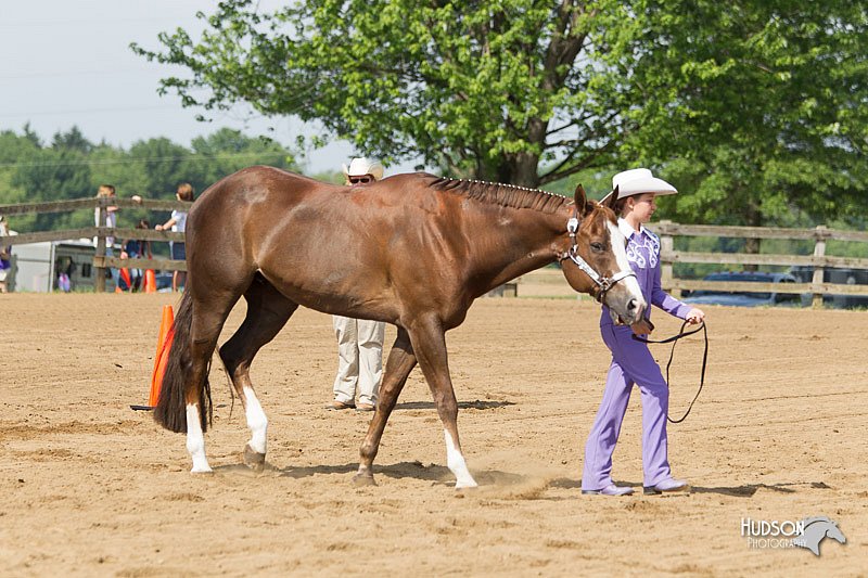 4H-Fun-Show-11_0089.jpg