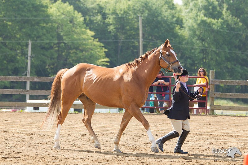 4H-Fun-Show-11_0092.jpg