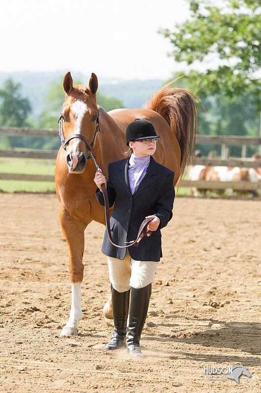 4H-Fun-Show-11_0094.jpg