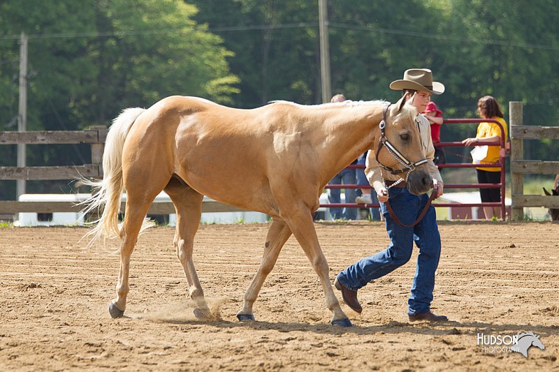 4H-Fun-Show-11_0096.jpg