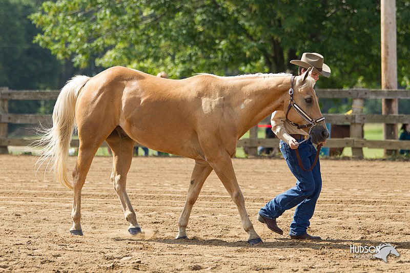 4H-Fun-Show-11_0097.jpg