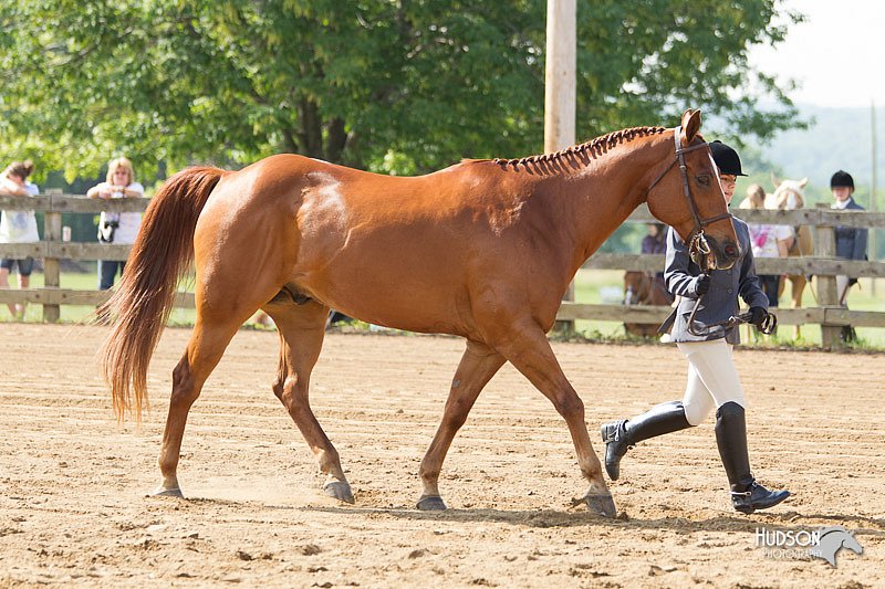4H-Fun-Show-11_0105.jpg