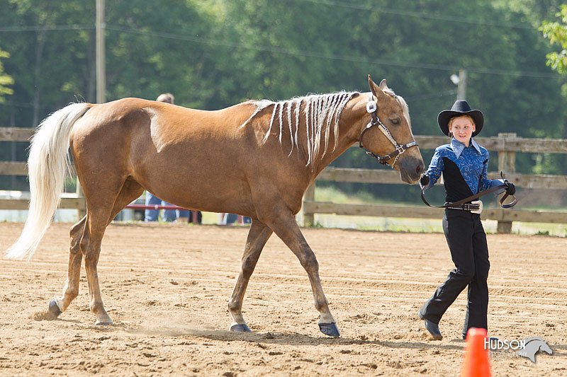 4H-Fun-Show-11_0110.jpg