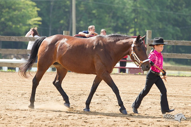 4H-Fun-Show-11_0114.jpg