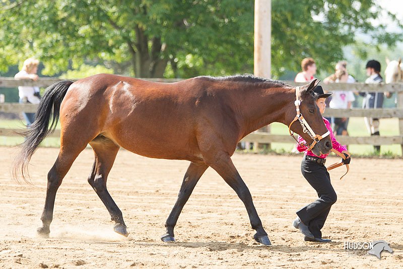 4H-Fun-Show-11_0115.jpg
