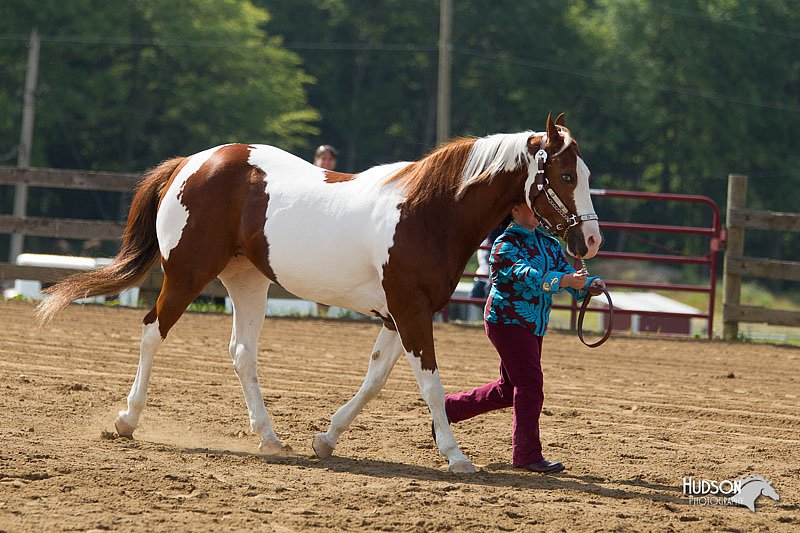 4H-Fun-Show-11_0119.jpg