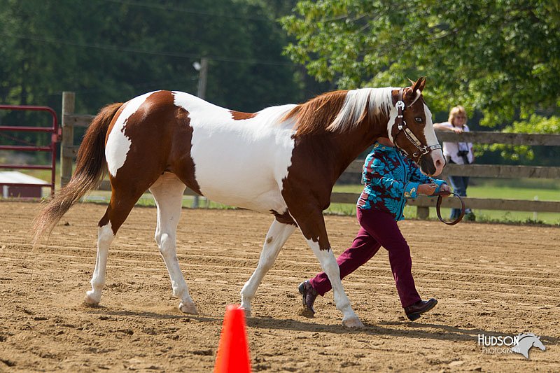 4H-Fun-Show-11_0120.jpg