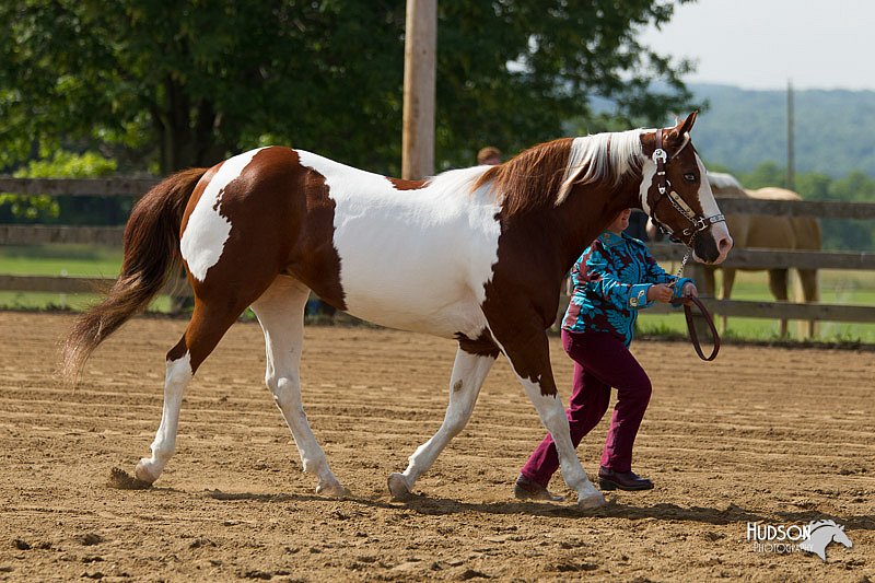 4H-Fun-Show-11_0121.jpg