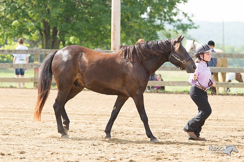 4H-Fun-Show-11_0126.jpg