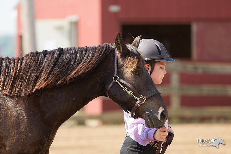 4H-Fun-Show-11_0128.jpg
