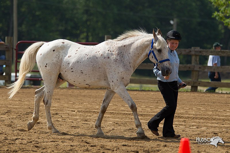 4H-Fun-Show-11_0129.jpg