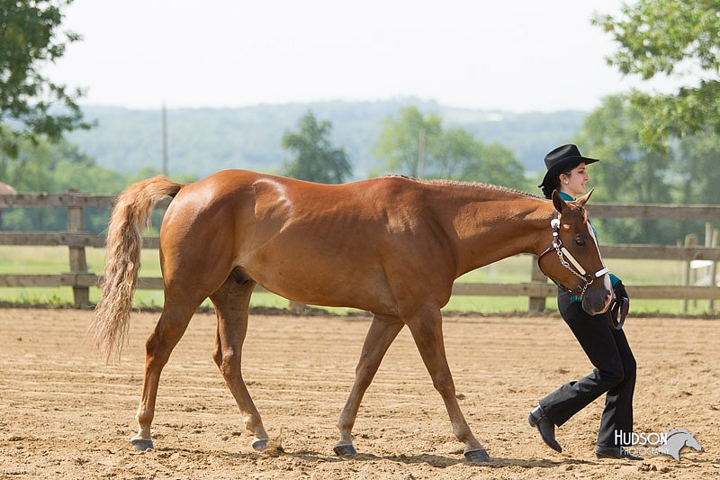 4H-Fun-Show-11_0134.jpg