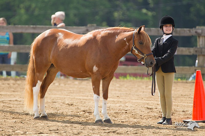 4H-Fun-Show-11_0139.jpg