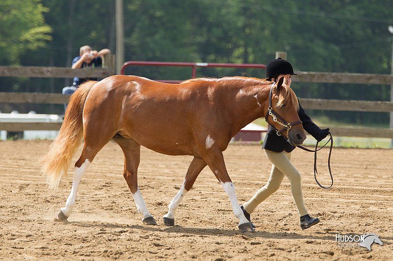 4H-Fun-Show-11_0140.jpg