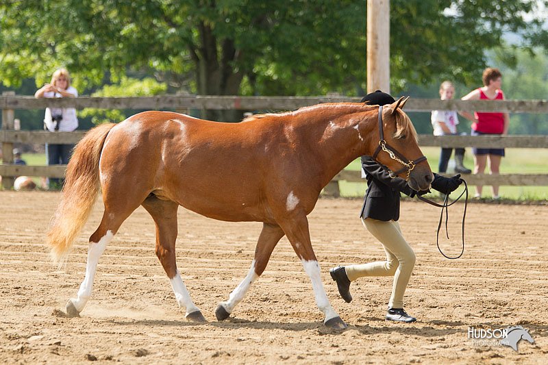 4H-Fun-Show-11_0141.jpg